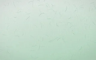Havana Mint Washi — light white and green washi paper background
