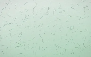 Havana Mint Fibred Washi — light white and green washi paper background