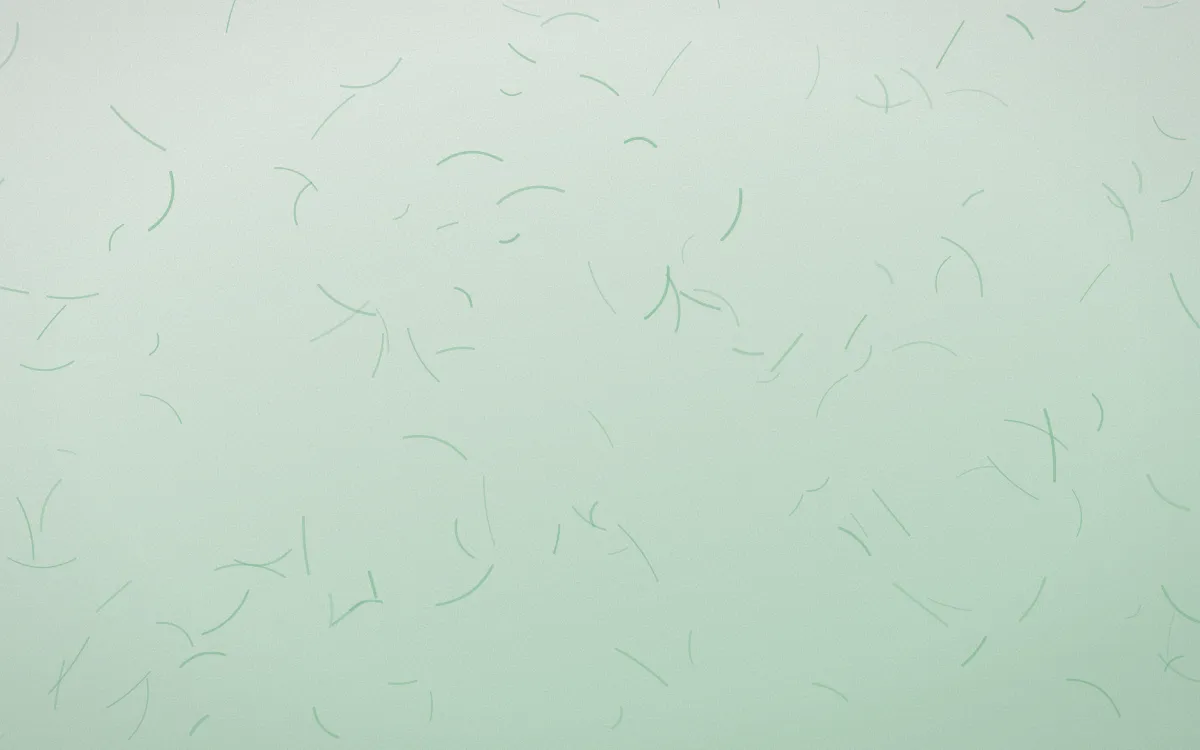 Jade Dynasty Washi — light white and green washi paper background