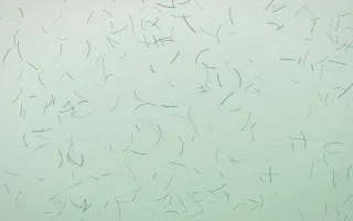 Jade Dynasty Fibred Washi — light white and green washi paper background