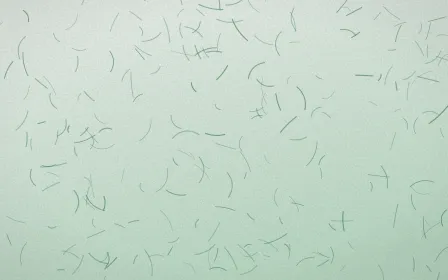 Jade Dynasty Fibred Washi — light white and green washi paper background