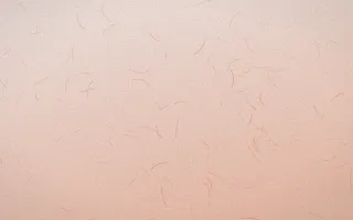 Jaipur Rose Washi — light orange washi paper background