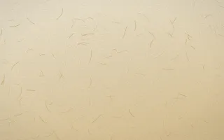Java Heritage Washi — light beige and gold washi paper background