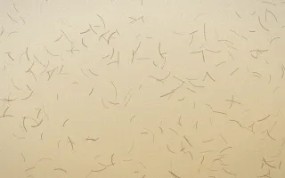 Java Heritage Fibred Washi — light beige and brown washi paper background