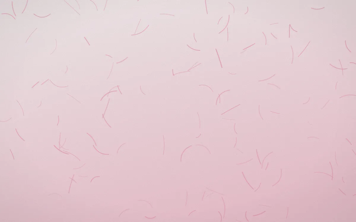 Lotus Siam Washi — light white and pink washi paper background