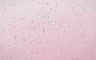 Lotus Siam Fibred Washi — light white and pink washi paper background