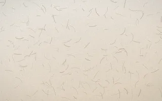 Manila Shell Fibred Washi — light white, orange and beige washi paper background