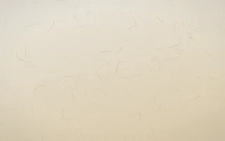 Pampas Cream Washi — light beige and orange washi paper background