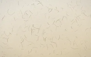 Pampas Cream Fibred Washi — light beige and orange washi paper background