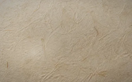 Washi Low Key — light beige and orange washi paper background