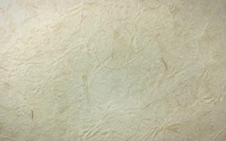 Washi Overcast — light white and green washi paper background