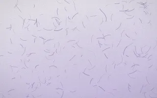 Provence Fibred Washi — light white and purple washi paper background