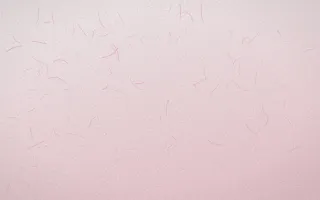 Sakura Paper Washi — light white and red washi paper background