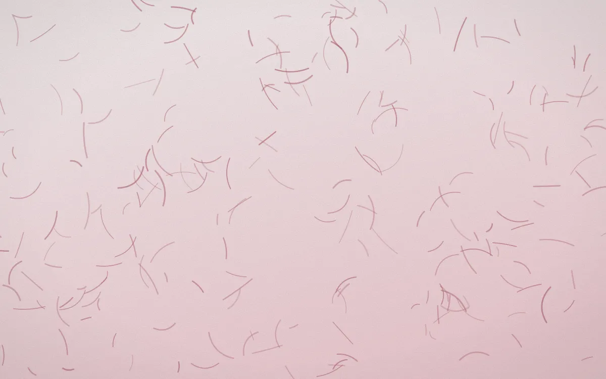 Sakura Paper Fibred Washi — light white and red washi paper background
