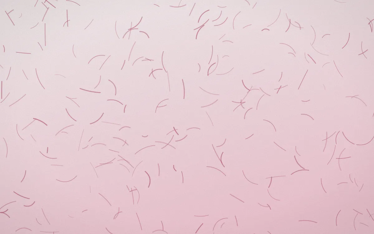 Seoul Blossom Fibred Washi — light white and pink washi paper background