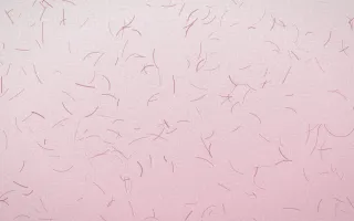 Seoul Blossom Fibred Washi — light white and pink washi paper background
