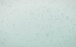 Winter Palace Fibred Washi — light white and teal washi paper background