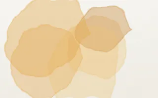 Cloudberry Wash — light orange and white watercolour background