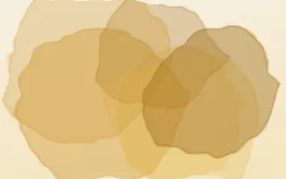 Honeywren Bloom — light gold and beige watercolour background