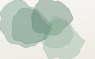 Junipera Wash — light green and white watercolour background