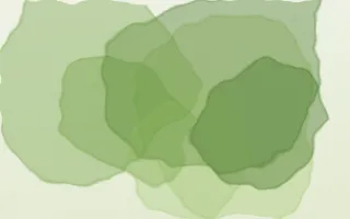 Meadowlark Bloom — light green and white watercolour background