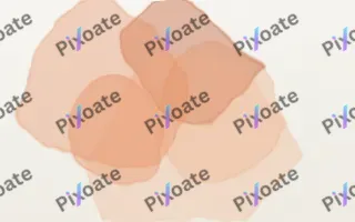 Peachette Wash II — light orange and white watercolour background, variation II