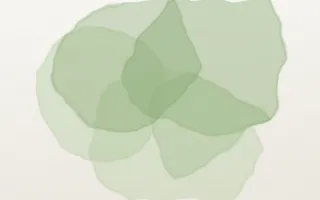 Sage Wash Sage Wash — light green and white watercolour background