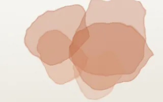Terracotta Wash Terracotta Wash — light orange and white watercolour background