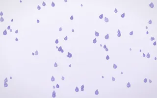 Lilac Frost Raindrops — light blue and white weather background