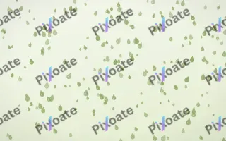 Matcha Latte Raindrops Dense — light green and white weather background