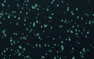 Midnight Garden Raindrops Dense II — dark green and black weather background, variation II