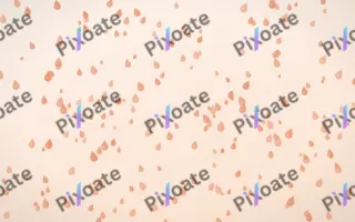 Peach Fuzz Raindrops Dense III — light orange and white weather background, variation III