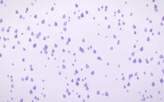 Wisteria Raindrops Dense II — light purple and white weather background, variation II