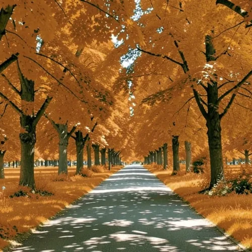Cambiamento del fogliame autunnale applied to the same source image