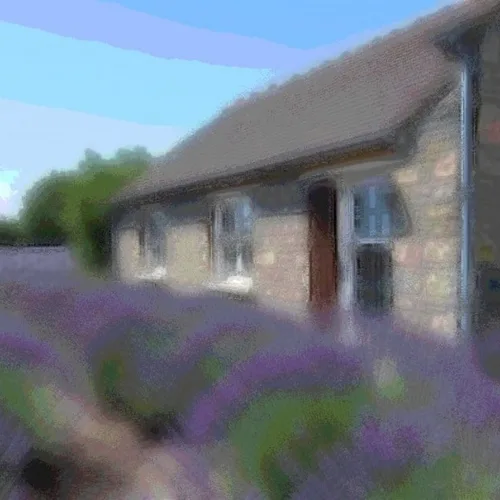 Oljefärg applied to the same source image