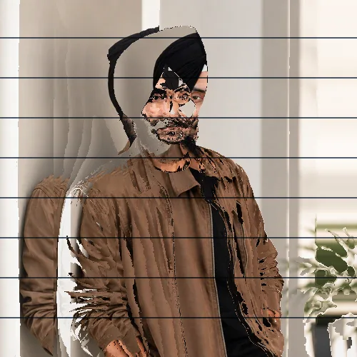 Pixel Sort · Horizontal · Broken Signal applied to the same source image