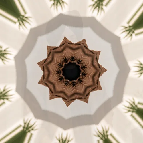Polar Coordinates applied to the same source image