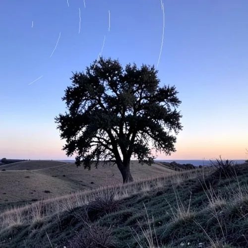 Cielo con tracce di stelle applied to the same source image