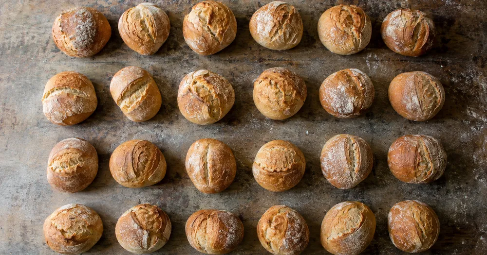 Count bread rolls on a tray from a photo — count bread rolls in a tray from a photo with marked results