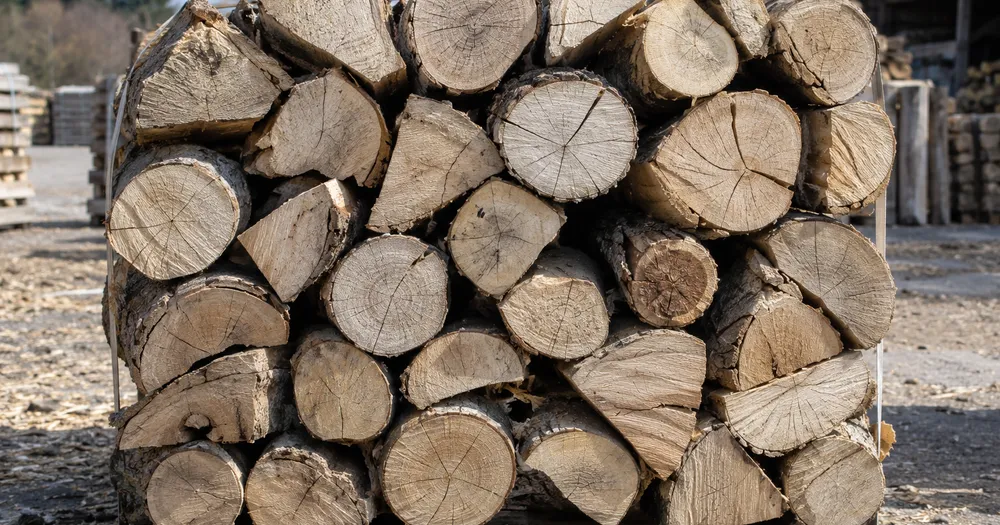 Count firewood logs in a stack from a photo — count firewood logs in a bundle from a photo with marked results