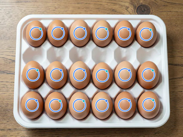 Egg Counter