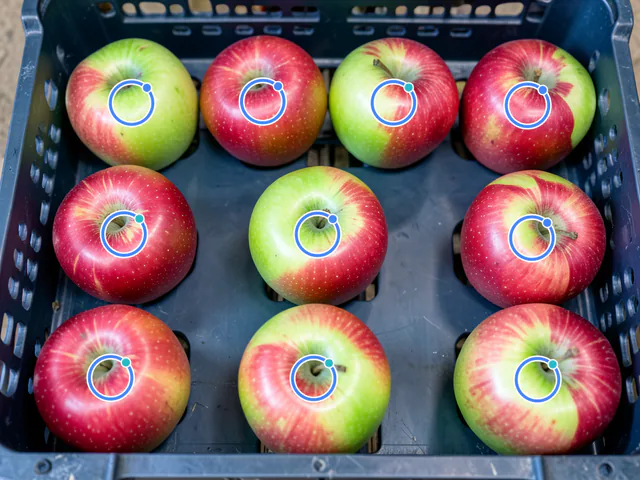 Fruit Counter