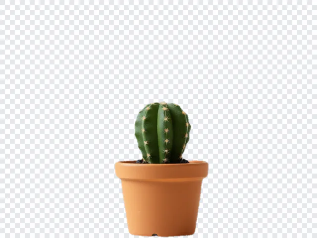 Transparent PNG Maker