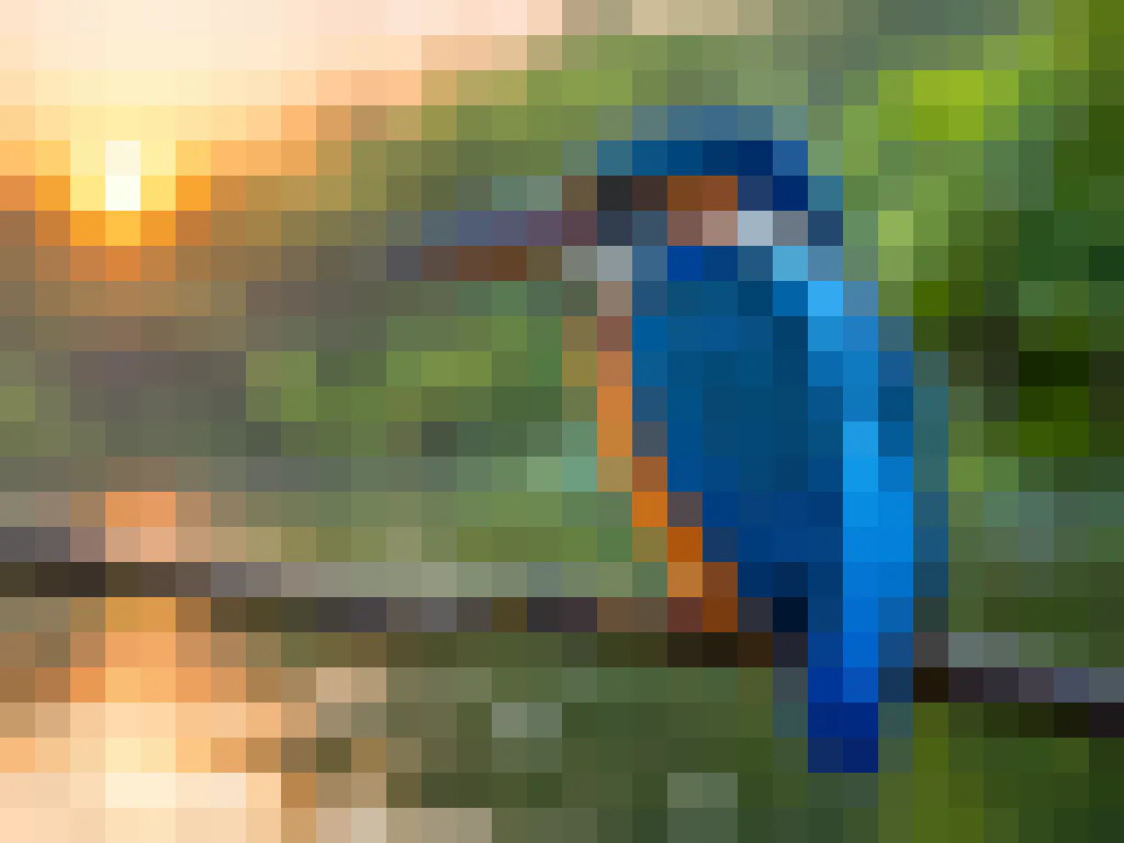 Avant