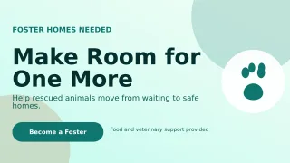 Aurora Animal Rescue Wide Ad — editable white community campaign template, youtube thumbnail