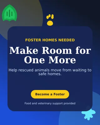 Botanical Animal Rescue Poster — editable blue community campaign template, instagram portrait