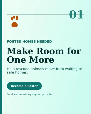 Editorial Animal Rescue Poster — editable white community campaign template, instagram portrait