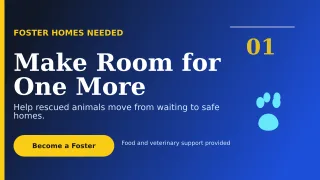 Editorial Animal Rescue Wide Ad — editable blue community campaign template, youtube thumbnail
