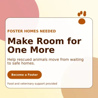 Glass Animal Rescue Social Post — editable white community campaign template, instagram post