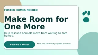 Glass Animal Rescue Wide Ad — editable white community campaign template, youtube thumbnail